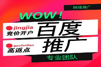 案例解读：百度广告竞价助力品牌知名度提升